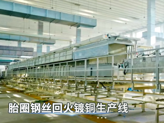 胎圈鋼絲回火鍍銅生產(chǎn)線(xiàn)